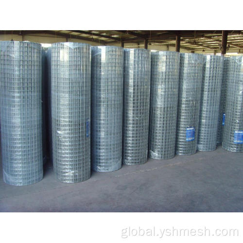 Galvanized Welded Mesh galvanized square wire mesh Supplier